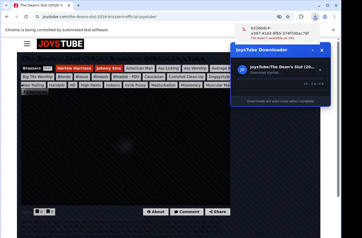 Joystube Video Downloader screenshot 2