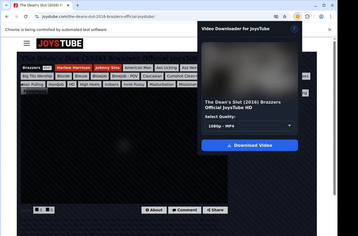 Joystube Video Downloader screenshot 3